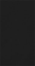 Black Swatch